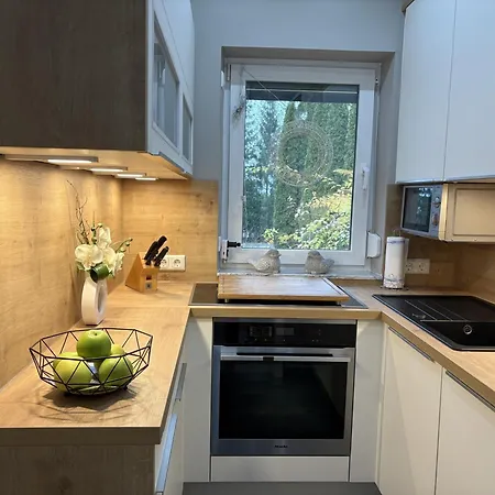 Frankenwald 80qm Unweit Vom In - Sauna, Klima, Kamin, Garten - Bad Steben - Hof Saale Сasa de vacaciones