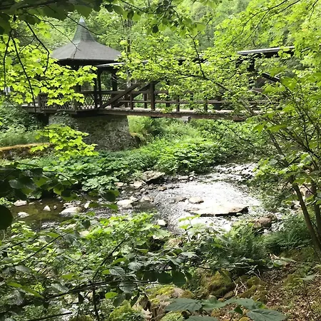 Frankenwald 80qm Unweit Vom In - Sauna, Klima, Kamin, Garten - Bad Steben - Hof Saale Сasa de vacaciones *