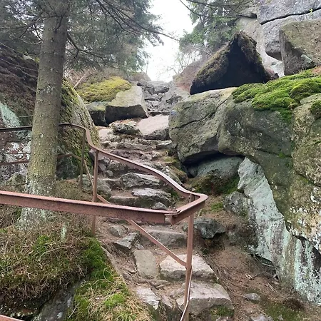 Frankenwald 80qm Unweit Vom In - Sauna, Klima, Kamin, Garten - Bad Steben - Hof Saale