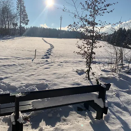 Frankenwald 80qm Unweit Vom In - Sauna, Klima, Kamin, Garten - Bad Steben - Hof Saale *