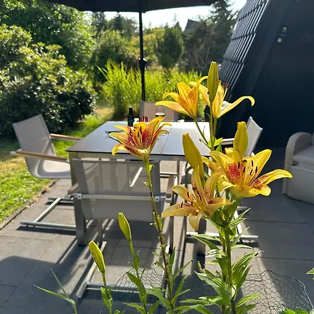 Сasa de vacaciones Frankenwald 80qm Unweit Vom In - Sauna, Klima, Kamin, Garten - Bad Steben - Hof Saale
