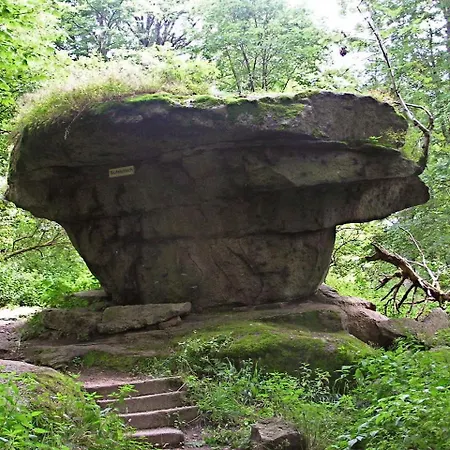 Komfortables 80qm Unweit Vom In - Frankenwald - Bad Steben - Hof Saale Lichtenberg