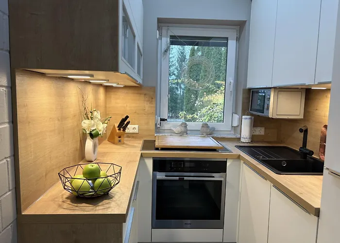 Frankenwald 80qm Unweit Vom In - Sauna, Klima, Kamin, Garten - Bad Steben - Hof Saale Tatil Evi