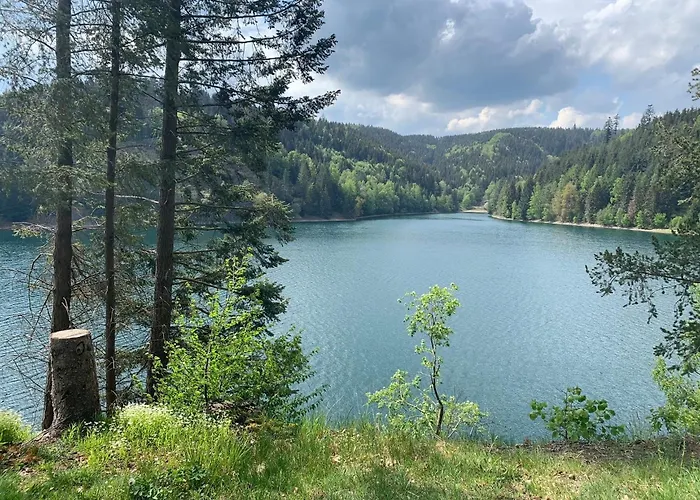 Frankenwald 80qm Unweit Vom In - Sauna, Klima, Kamin, Garten - Bad Steben - Hof Saale Lichtenberg (Bavaria)